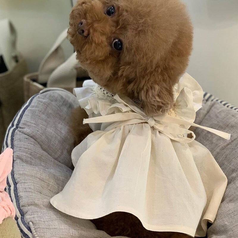 luxurious Dog Dress Pet Wedding Dresses Chihuahau Lace Puppy Pet Clothes For Small Dogs Clothes Handmade Dogs Party Dresses