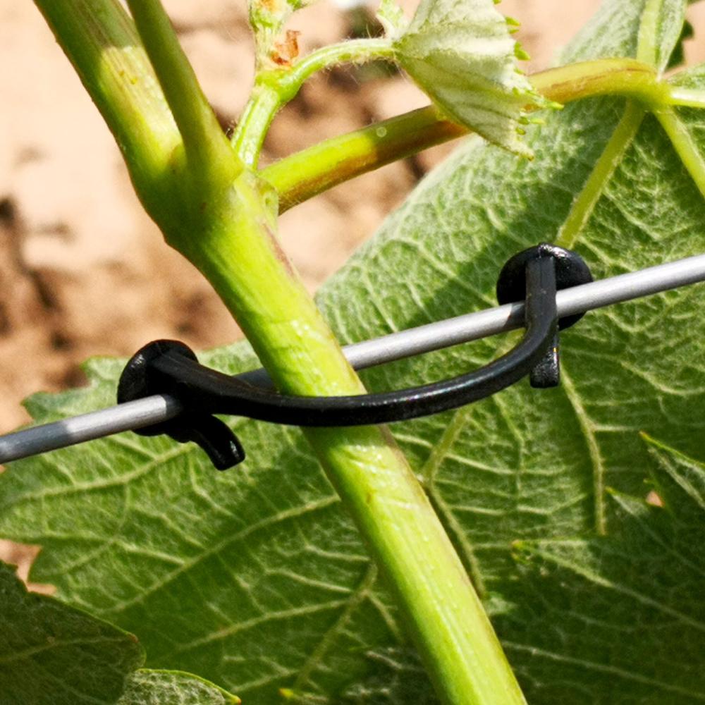 Gancho de amarre fijo de vides para plantas agrícolas, gancho de amarre atado de vides para plantas, flores de jardín, invernadero, herramientas de jardín, 2000 Uds.