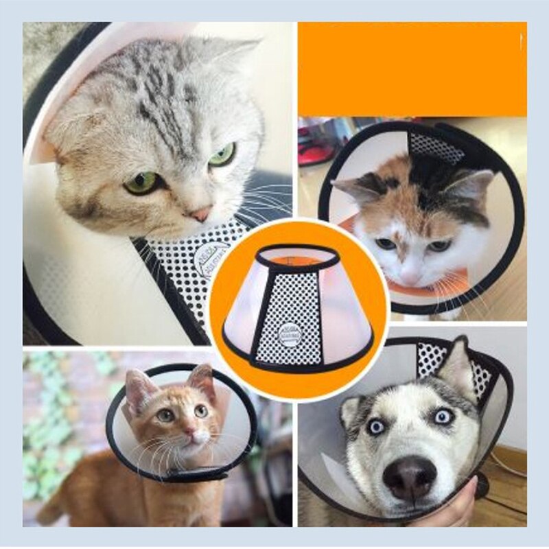 Translucent Pet Dogs Cats Collar Circle Anti Bite Pet Feeding Medicine Beauty Healing Brace Cover Pet Accessories
