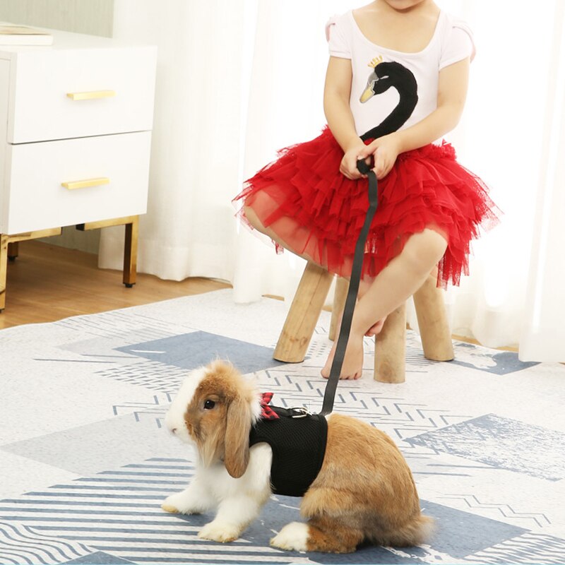 Konijnentuig met lijnset met engelenvleugels, nylon touwen, verstelbaar zacht mesh vest, harnas voor konijnen