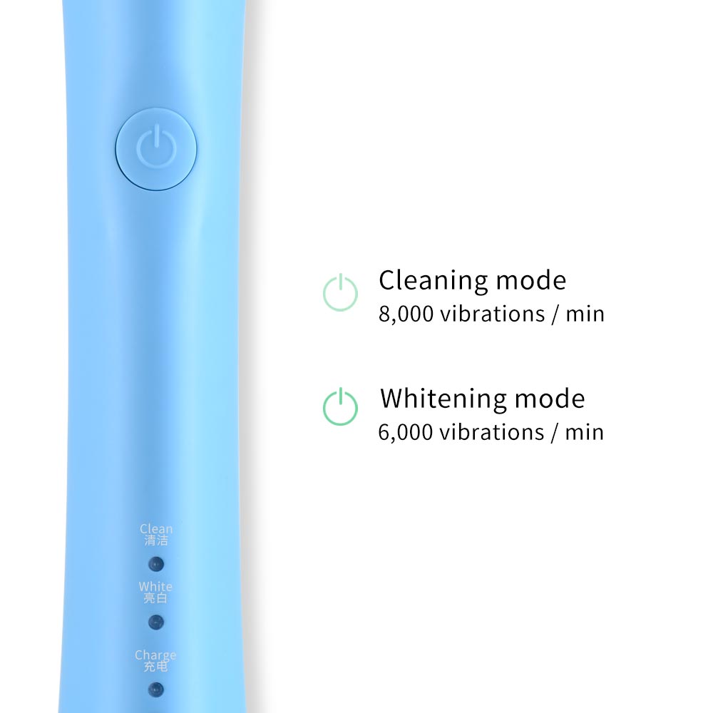 Hier mega roterende elektrische tandenborstel usb oplaadbare tandenborstelkoppen voor volwassenen vervangingen whitening smart waterdicht