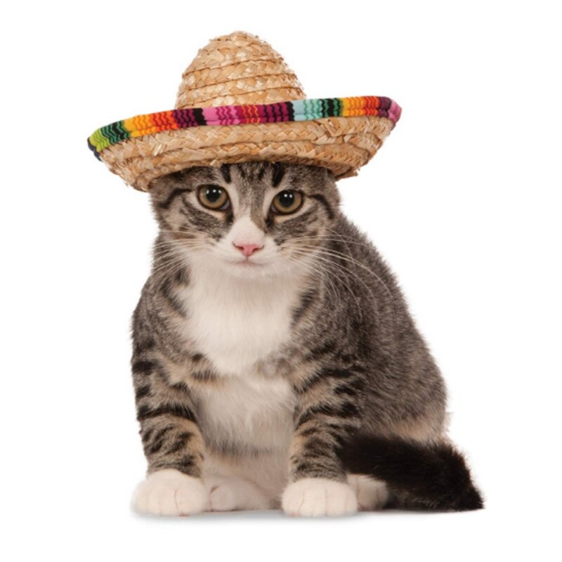 Sombrero mejicano de paja con hebilla ajustable para mascotas, Sombrero tejido de paja para perros, traje ajustable