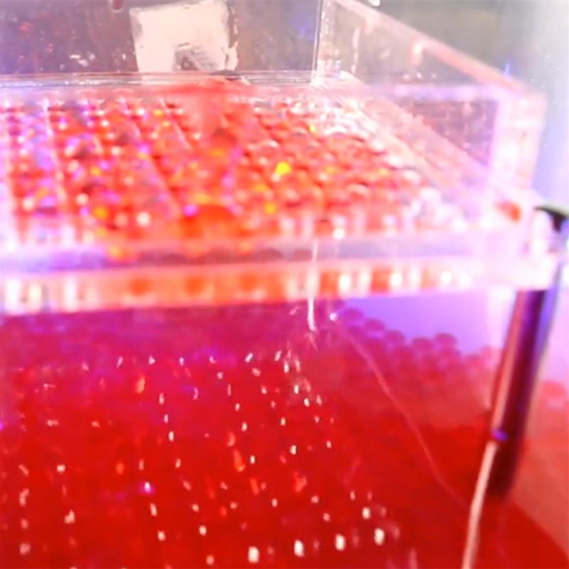 100 Holes Caviar Generator Efficient Molecular Gourmet Caviar Box Fish Roe Generation Tool