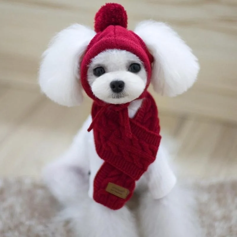 Mütze für Hunde, Winter, warme Streifen, Strickmütze + Schalkragen, Welpen-Teddy-Kostüm, Weihnachtskleidung, Weihnachtsmann-Hundekostüm: M / Rot