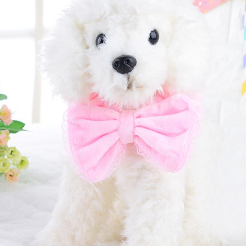 Bonnet de bain couleur bonbon pour chien, écharpe chaude pour animaux de compagnie, nœuds, accessoires de toilettage, bandeau pour cheveux,