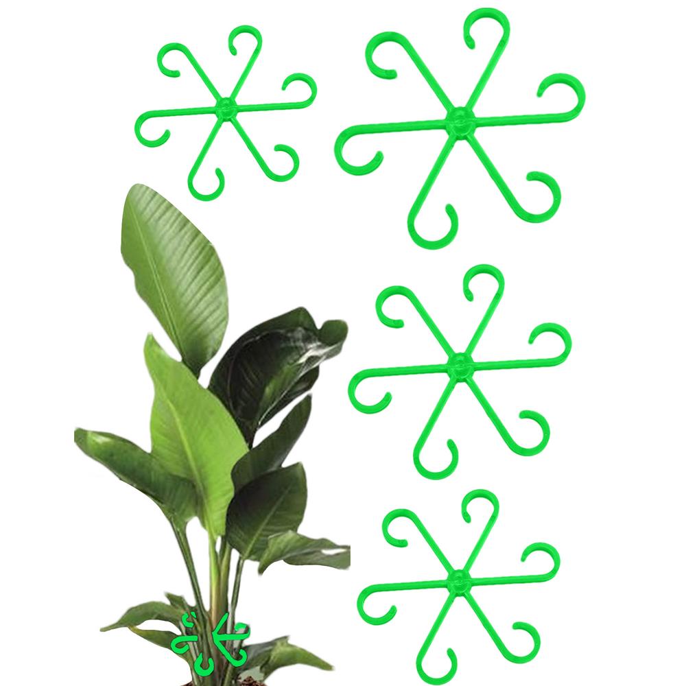 Stem Ondersteuning Alocasia Monstera Leaf Ondersteunt 4 Stuks Wijnstok Ondersteuning Clips Voor Klimplanten Om Rechtop Te Groeien En Gezonder Te Maken: green