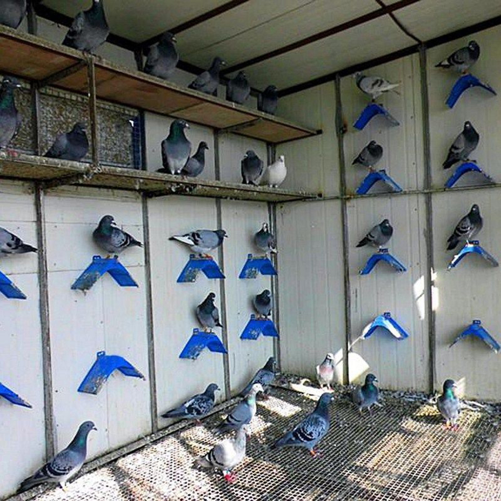 20pcs Pigeon Dove Bird House Parrots Blue Plastic Pigeon Dove Birds Rest Stand Frame Dwelling Perch Bird Supplies