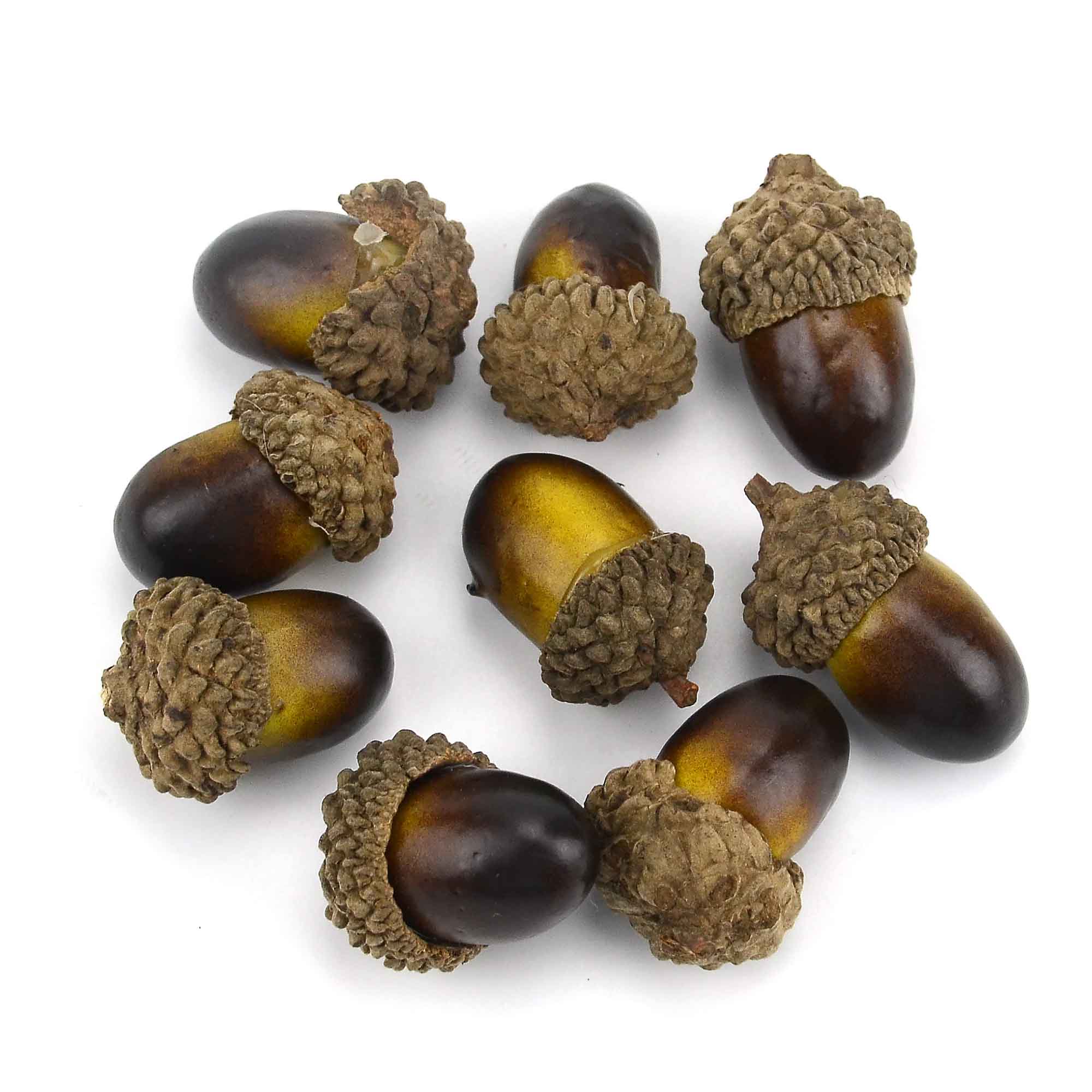 Goedkope 50 Stuks Van Mooie Eikels Mini Kunstmatige Schuim Fruit En Groenten Fruit Thuis Bruiloft Kerstboom Decoratie: brown