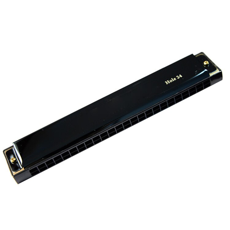 Professionele Harmonica In C Sleutel Met Case 10/24 Gaten Voor Beginer Band Speler En Studenten Te Dragen MC889: Black 24 Holes