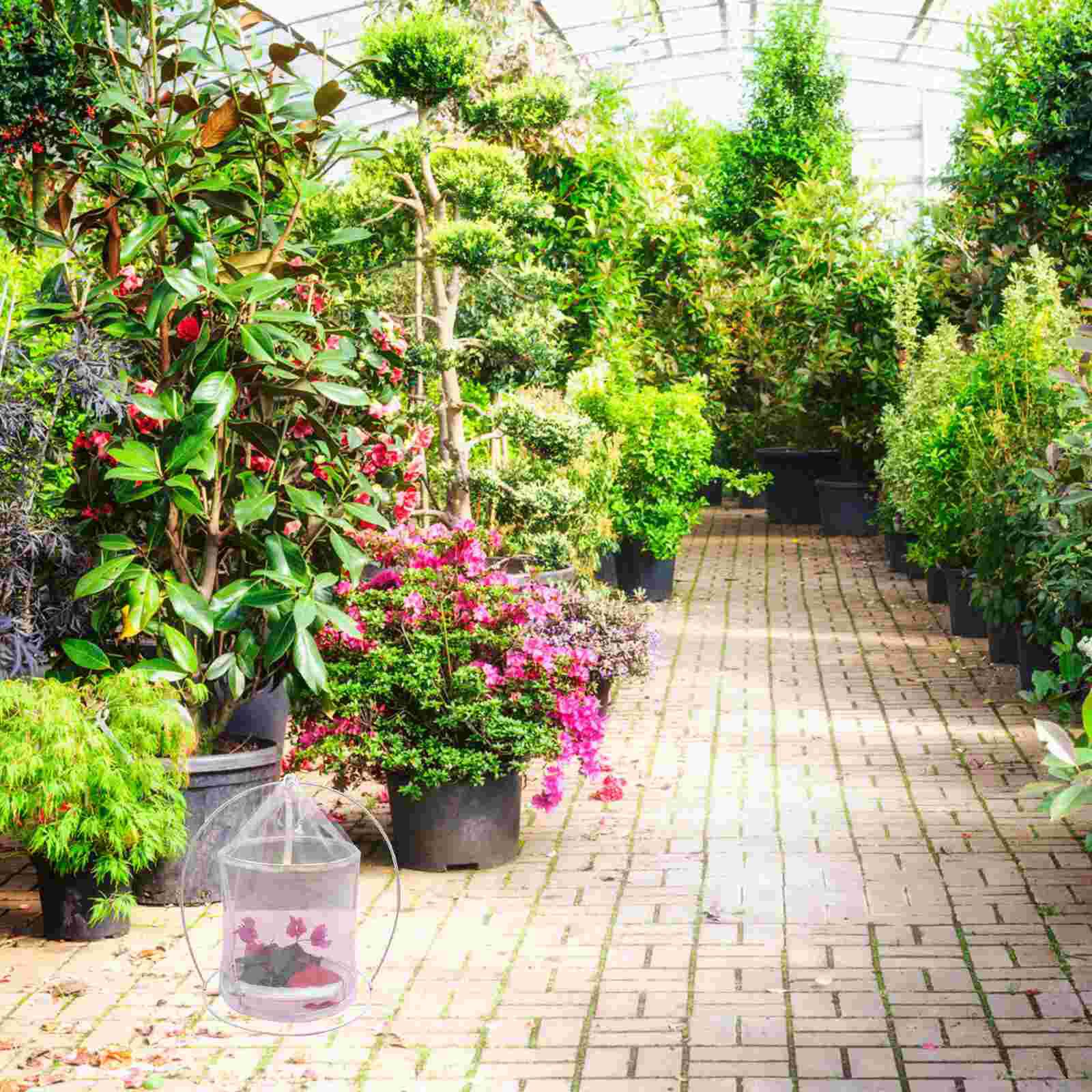 Insect Breeding Container Breathable Insect Cage Nature Exploration Tool