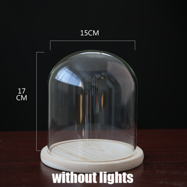 Tabletop Display Glass Cover Terrarium Container Decor Dry Flower Ornaments Craft Bell Jar Wood Base with Feet LED Light Holder: MULTI