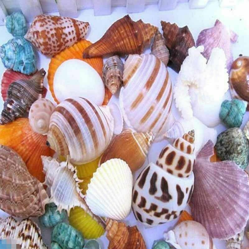 100G Gemengde Oceaan Schelpen Bruiloft Decor Strand Thema Party, Schelpen Huis Decoraties, Aquarium Decoraties