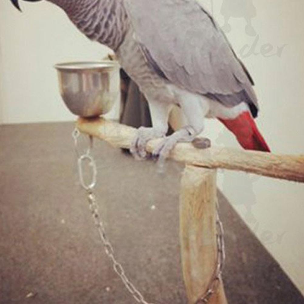 perroquet acier inoxydable pied anneau chaîne ouverture activité anneau pour tourterelle calopsitte perruche oiseau support cheville