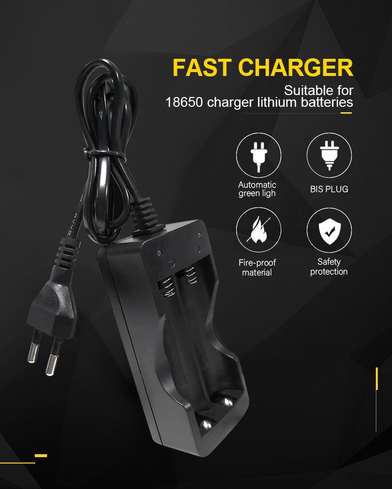 VOXLINK 18650 chargeur de batterie EU 2 fentes chargeur de batterie Rechargeable Li-ion de charge intelligente