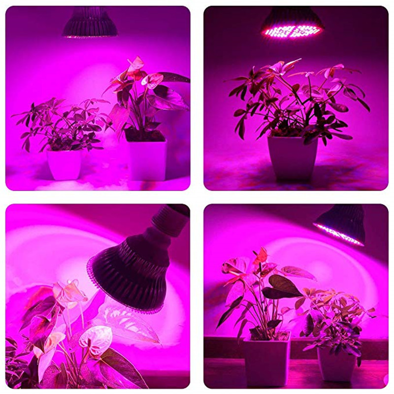 Dyrk plantelys fuldt spektrum  e27 fytolampe 8w 30w 50w 80w varmeafledning til indendørs frøplanteblomst fitolamp phytolam