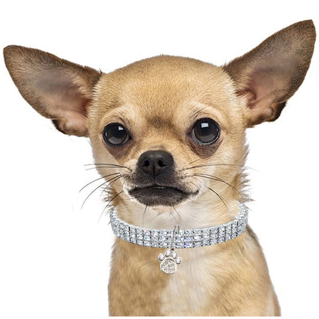 Trsnser-Collar para perro con diamantes de imitación, Mini Collar blanco para perros de compañía, Gargantilla ostentosa, Perros pequeños para mascotas