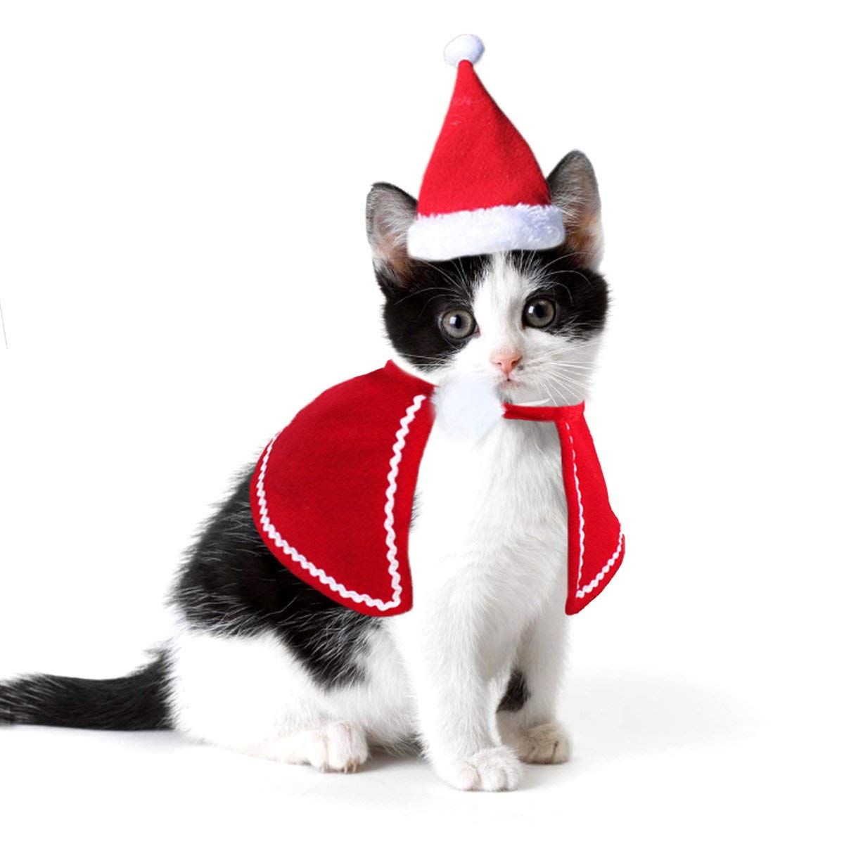 Gorros para perros y gatos, gorro para mascota y Papá Noel, bufanda y Collar con lazo, disfraz de Navidad para cachorro, gatito, gatos pequeños, perros, accesorios para mascotas: Hat and Cloaks / L