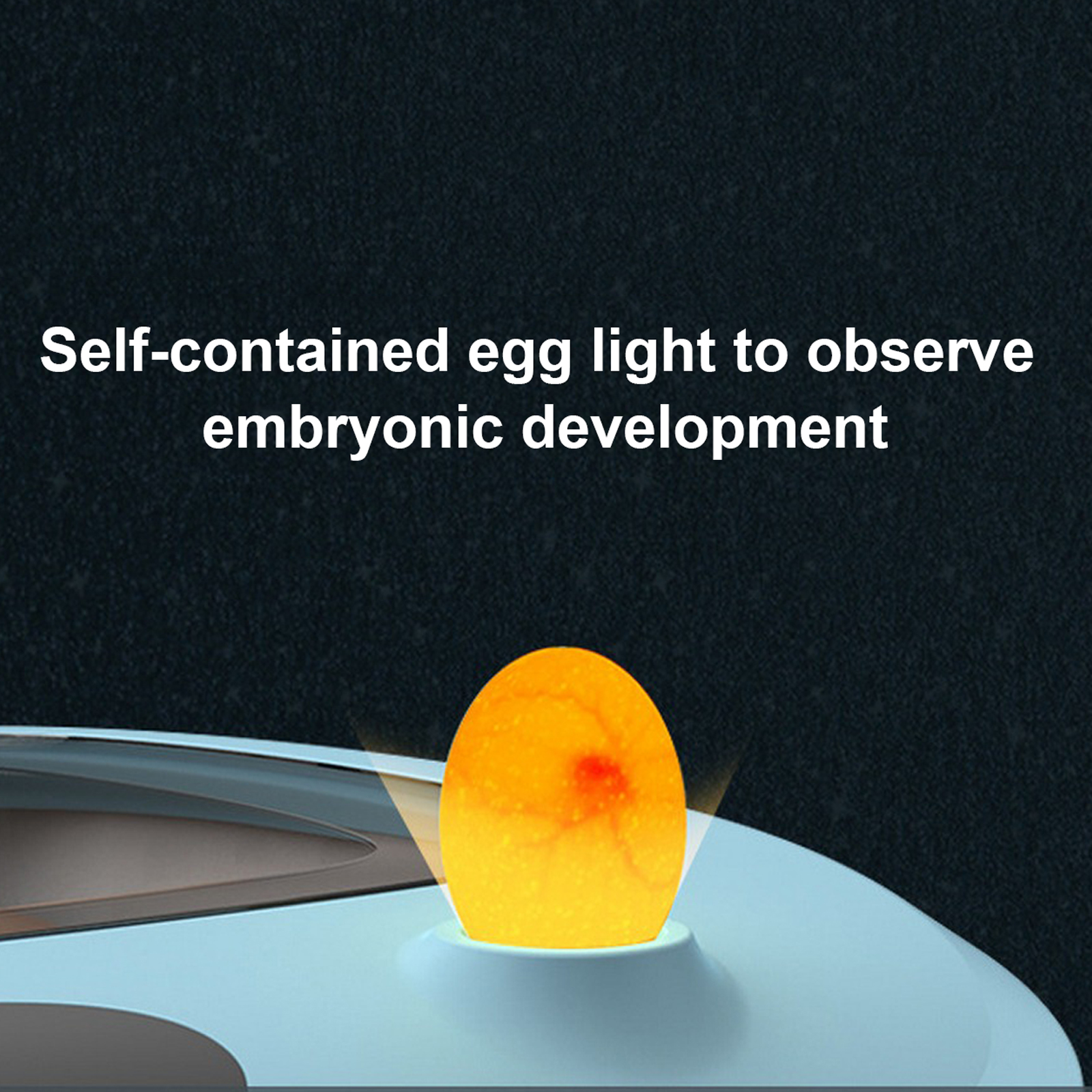 9-36 jajko inkubator automatyczny jajko cyfrowy inkubator wylęgowy temperatura kontrola wilgotności jaj wylęgowych inkubator kurczak kaczka