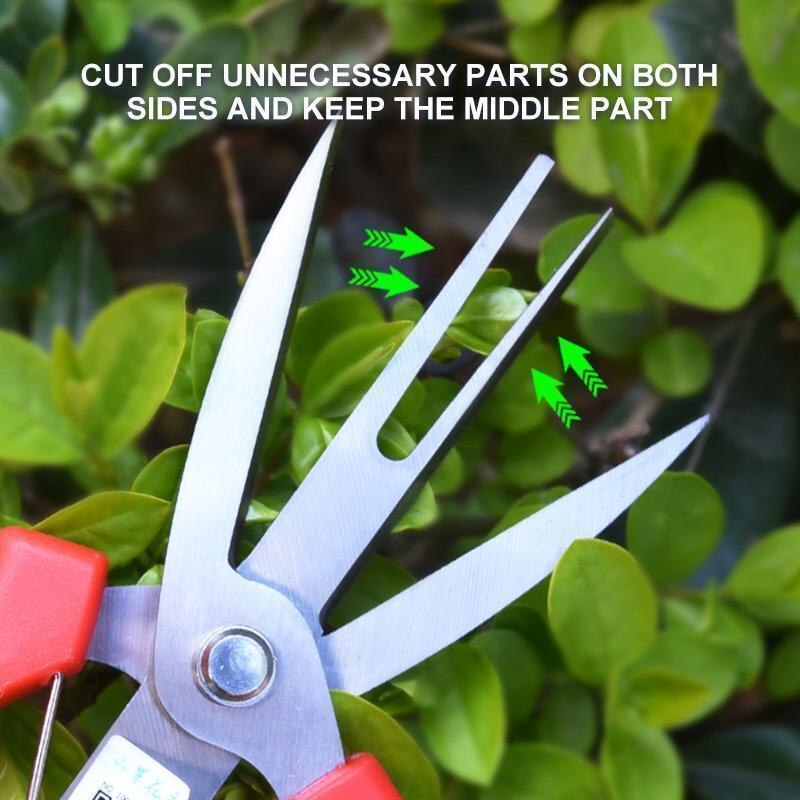 Double-edged Fruit Picking Scissors Garden Pruner Shears Citrus Tree Flower Cultivating Solid Snip