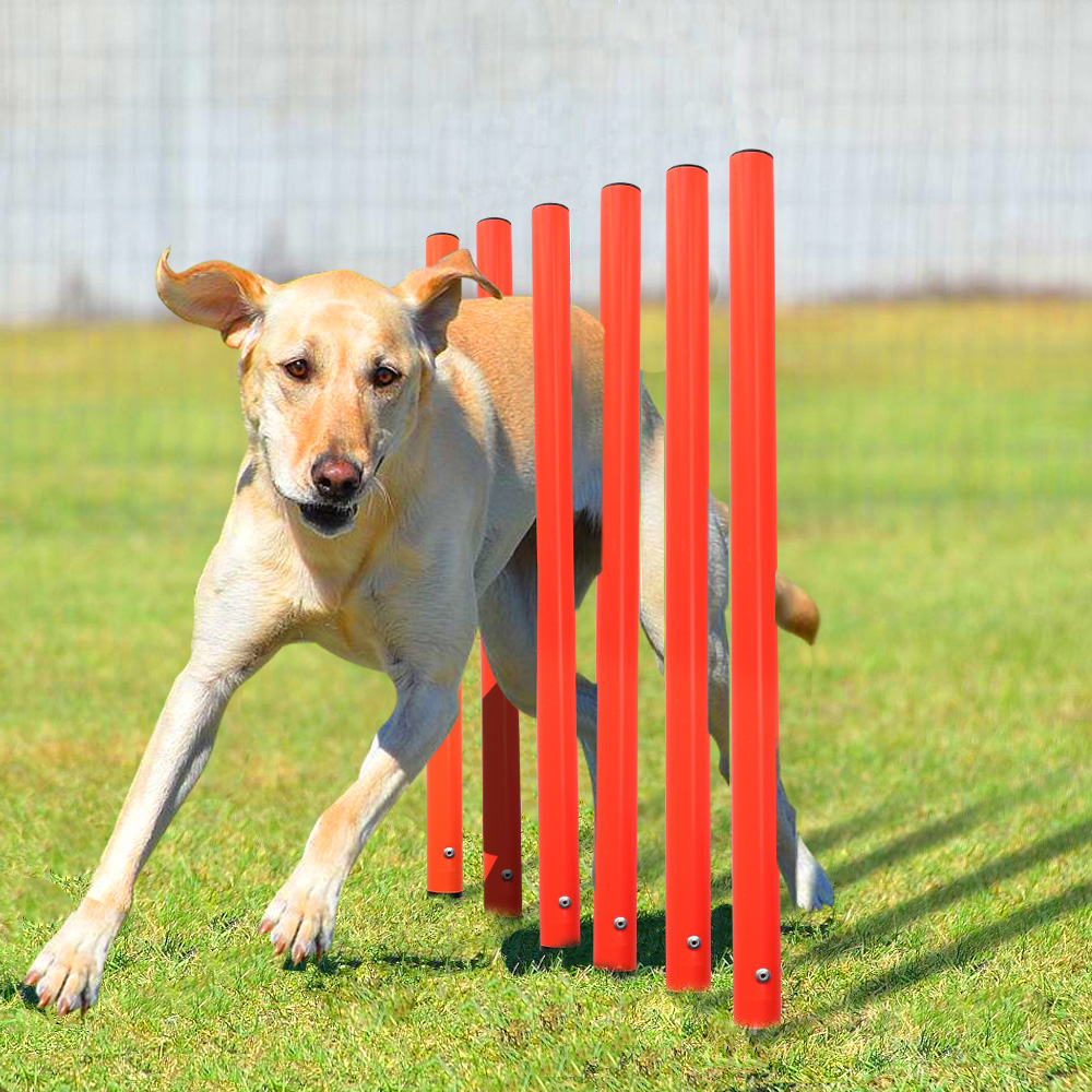 Outdoor Dog Training Equipment Portable Dog Exercise Running Training Jumping Stakes Sports Dogs Agility Equipment Pet Supplies