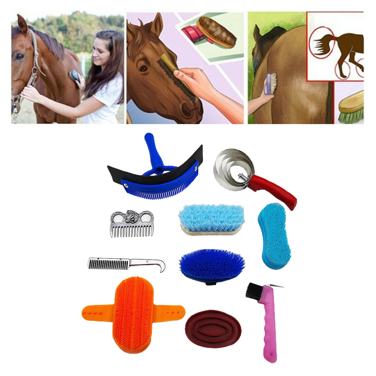 10 pièces cheval brosse ensemble cheval toilettage soins Kit brosses équestres Curry peigne cheval nettoyant avec sac de rangement