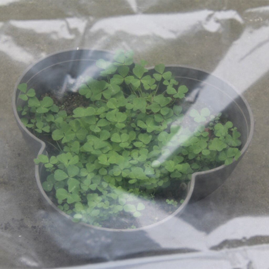 Película de plástico transparente para invernadero, cubierta de polietileno para invernadero, malla de malla, protección de frutas, accesorios de jardín