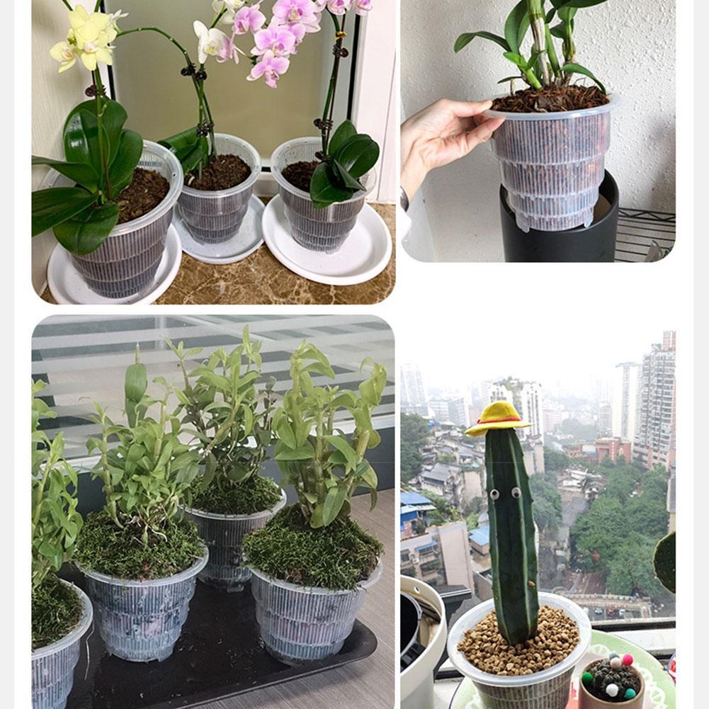 Vasi per orchidee in plastica trasparente da 10cm/12cm/15cm con fori funzione di potatura dell'aria e fessure per la crescita delle radici vaso da fiori in plastica