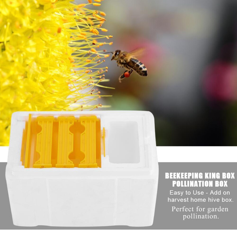 Garden Bee Hive Frames Beekeeping Foam Plastic White Easy Maintenance Auto Honey Pollination Box Honeycomb Building Mating