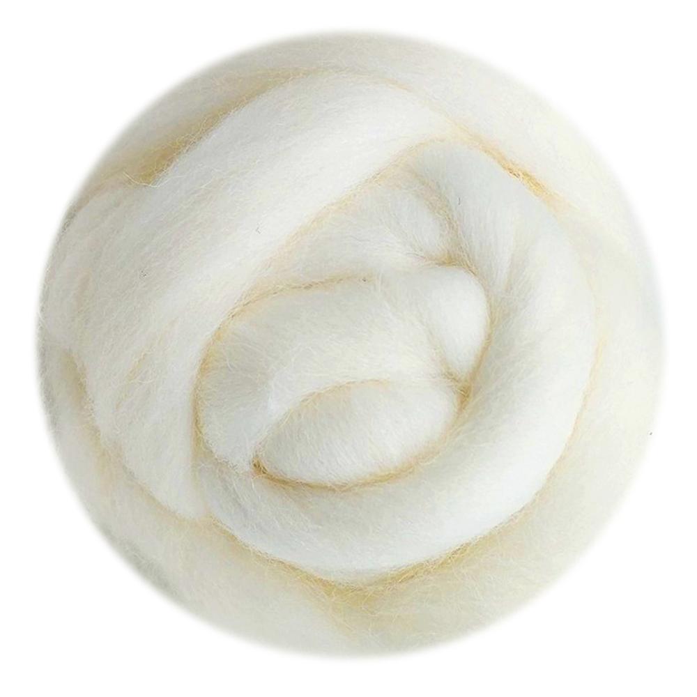 Feltsky 100g Felting Wool (70s 19um Grade) Needle Felting Diy Wool for Needle Felting Kit by Plastic Bag (N0.1)