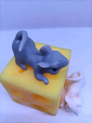 thumbnail image 2 of Cute Cheese Mouse Squeeze Stress Relief Toys TPR Elastic Cheese Spoofs Prank Decompression Squishy Toys 2 of 10