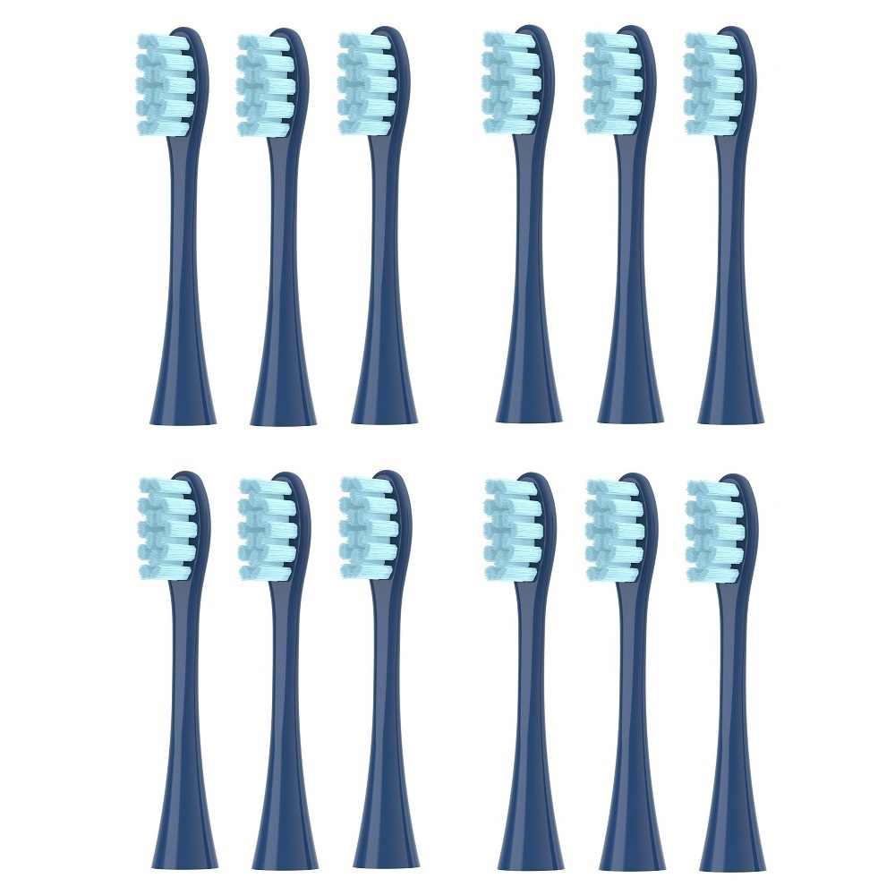 12 unids/set de cabezales de repuesto de cepillo de dientes eléctrico sónico para Oclean X/ X PRO/ Z1/ F1/ One/ Air 2/ SE DuPont boquillas de cerdas: Plata