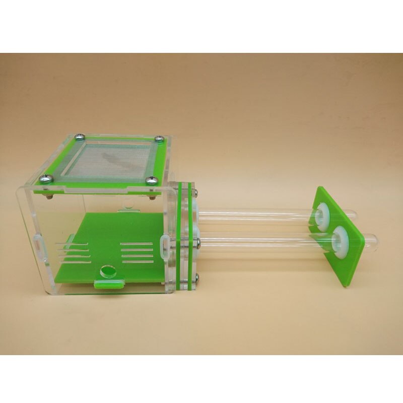 Groene dubbele reageerbuis mierennest acryl mierenboerderij acryl insecten terrarium: Kleur-h
