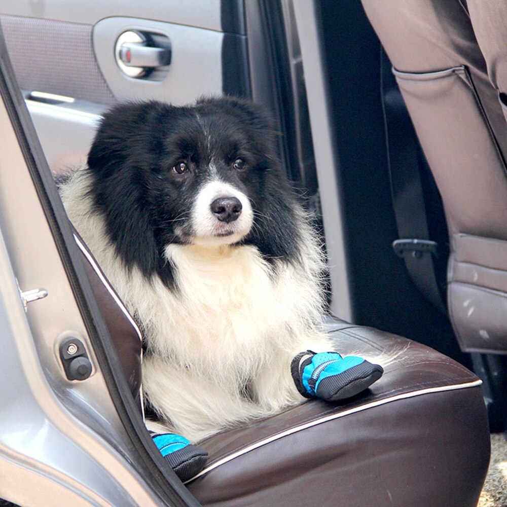 1 set warme schoenen voor huisdieren, stijlvolle buitenlaarzen voor honden, antislip wandelschoenen voor huisdieren, zachte comfortabele laarzen voor huisdieren, koele schoenen voor huisdieren