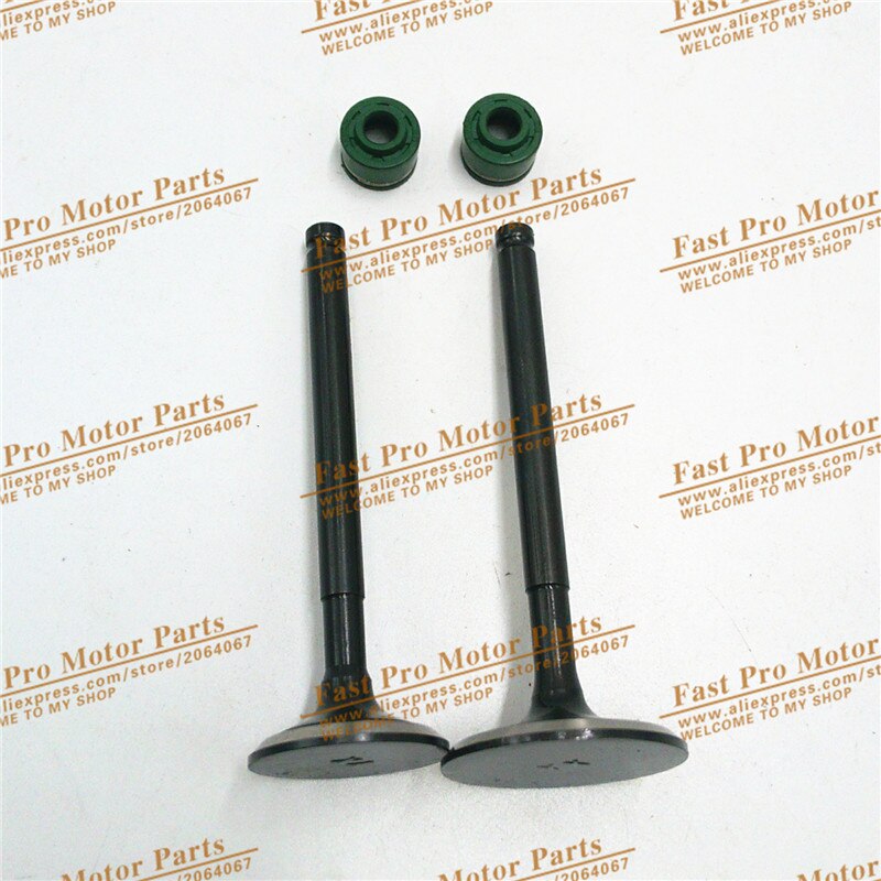 YinXiang 150CC YX160 Valve Oil Seals and Valve set Cylinder Head Valve Kit Engine spare parts