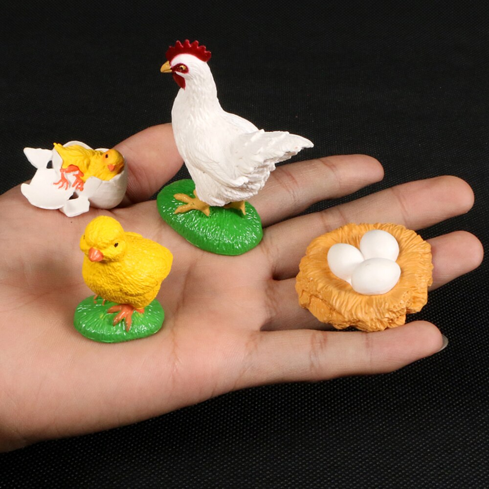 Simulation Animals Growth Cycle ButterflyLadybug Chicken Life Cycle Figurine Plastic Models Action Figures Educational Kids Toy