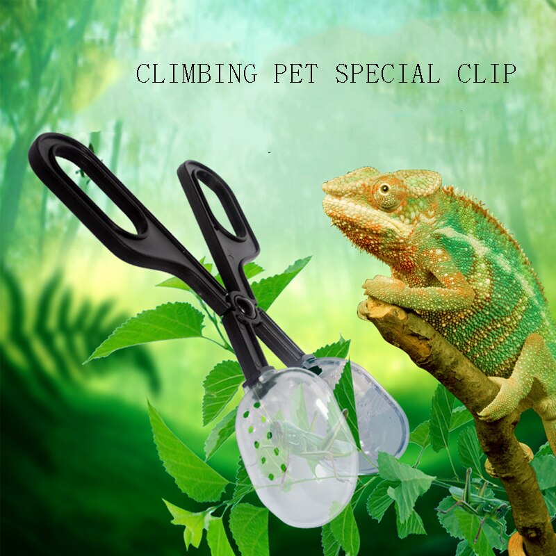 Reptiel Clip Transparant Hagedissen Plastic Tang Pincet Huisdier Raising Feeding Tool Clip Cleaning Tool Pet Supplies