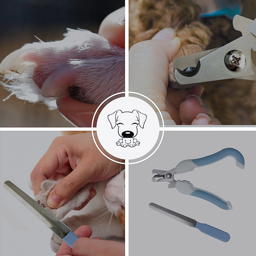 Surker Sk-309 Electric Pet Dog Hair Trimmer Pet Dog Grooming Clippers, Animal Cordless Pet Hair Shaver, Grooming Trimmer Kit M