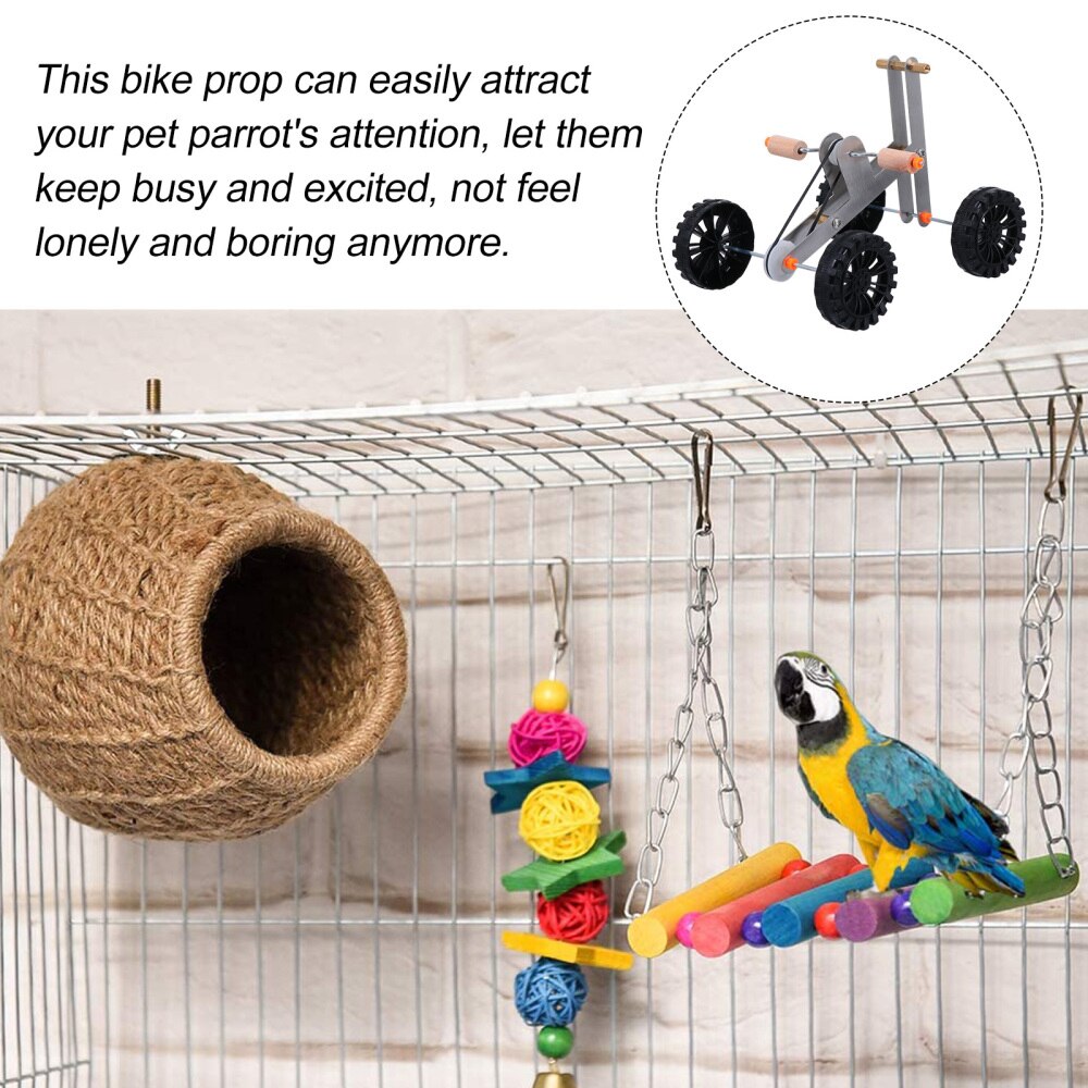 Vogel Intelligenz Ausbildung Papagei Fahrrad Pädagogisches Vogel Fuß Kralle