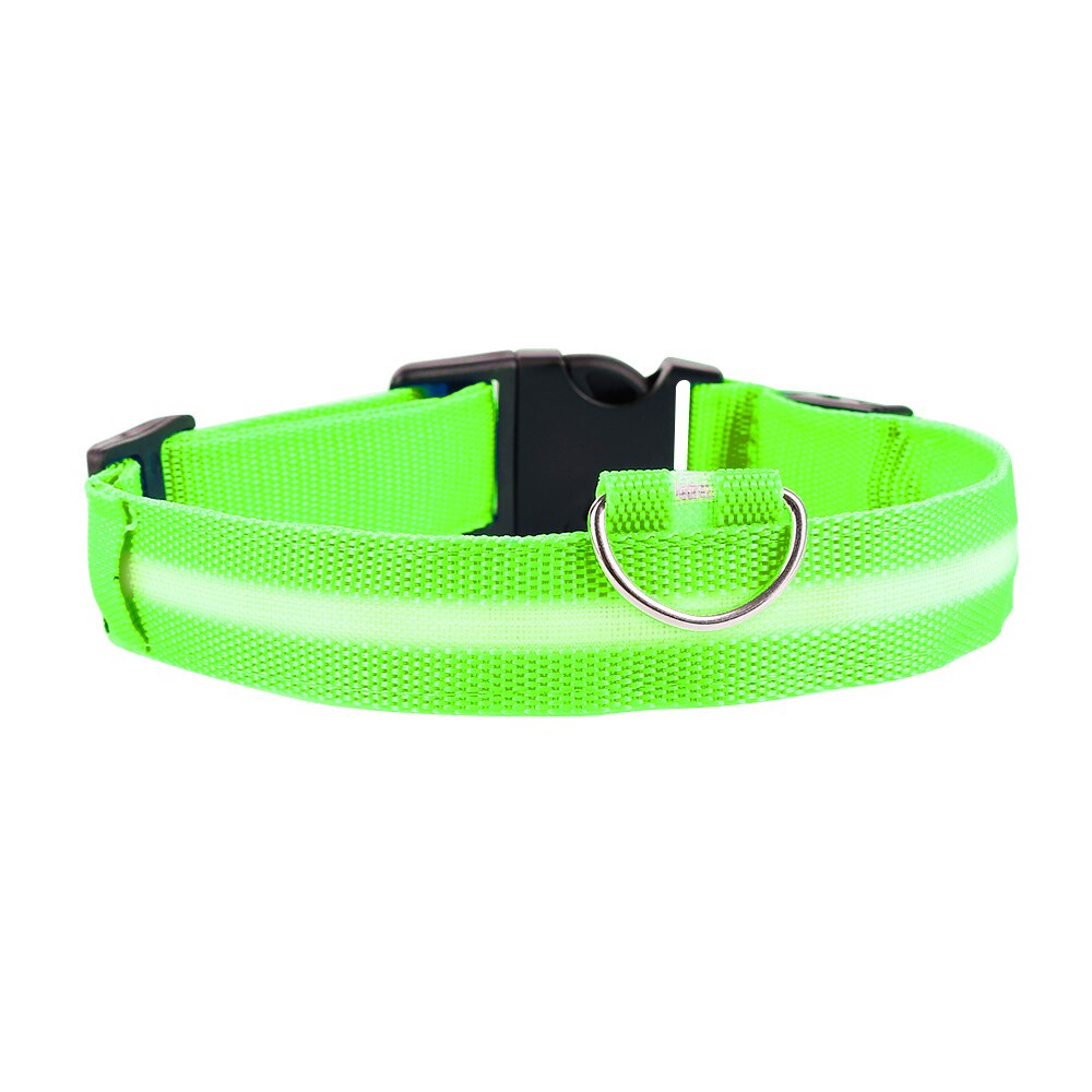 Led Anti-Verloren Huisdier Halsband Flashing Glow Glowing Lichtgevende Night Halsbanden Harnesses Riemen Huisdier Producten Kat Halsbanden: green