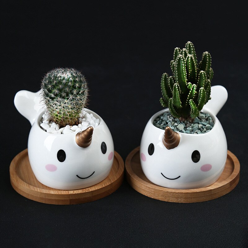 Narwal keramische plantenbak eenhoorn walvis dier vetplant container groene plantenbakken kleine bonsai potten huisdecoratie