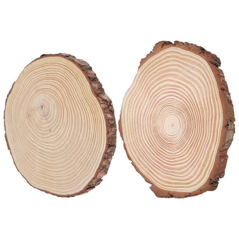 Hout Plakjes Met Schors Natuurlijke Hout Plakjes Unfinished Hout Cirkels Ornamenten Onregelmatige Hout Plakjes Met Schors Hout Cirkels