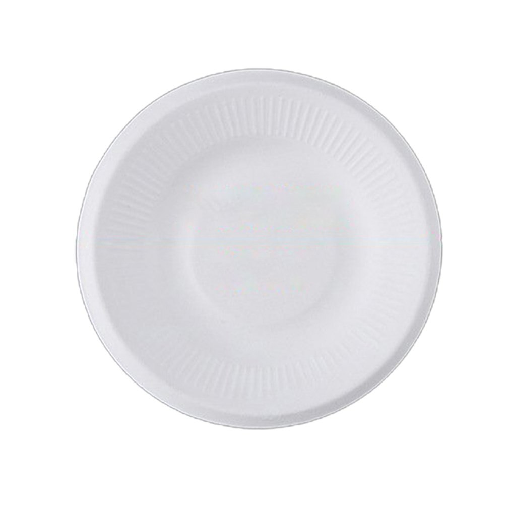 Wegwerpbord van suikerrietpulp, rond papieren bord, handgemaakt voor kinderen, doe-het-zelf, kleuterkunst, schilderij van suikerrietpulp van voedingskwaliteit