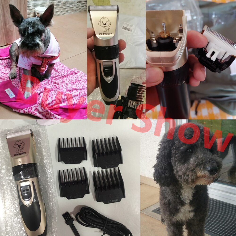 Kæledyr hårtrimmer genopladelig kæledyr hund hunde kanin pleje barbermaskine klipper saks støjsvag dyr haircut maskine