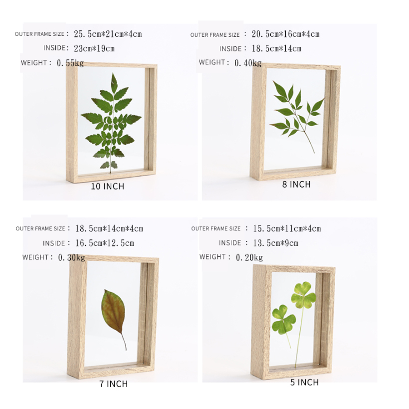 SUFEILE Plant specimen Picture frame 6 inch solid wood decorative frame DIY wood High-definition glass frame D50