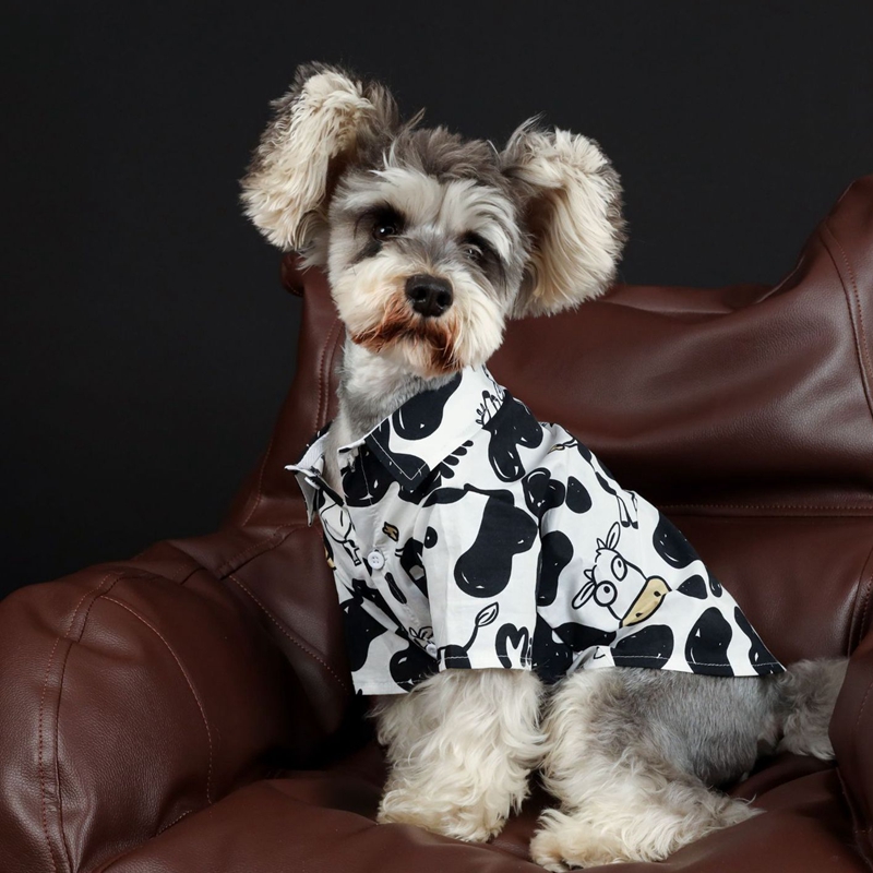 Ropa para perros, camisa con estampado de vaca, ropa para mascotas, para perros pequeños y guapos, Schnauzer de para primavera y verano, negro y blanco,: SCARLET / 5 XL