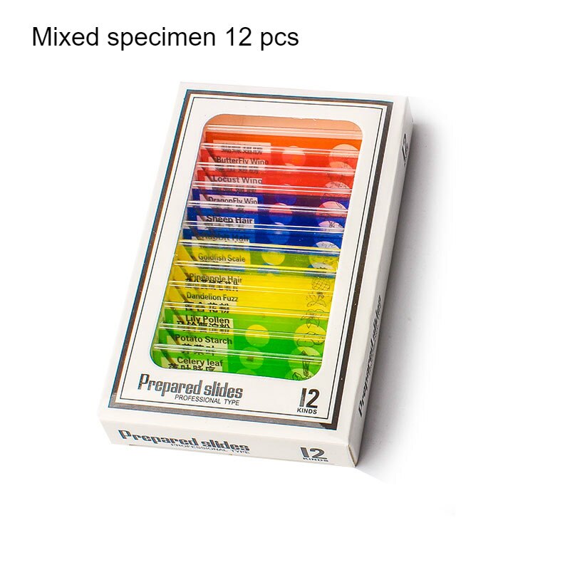 Microscope Slides 12 Children's Standard Microscope Special Plastic bio-slice Specimen Animal Insect Plant Flower Sample Slice: WHITE