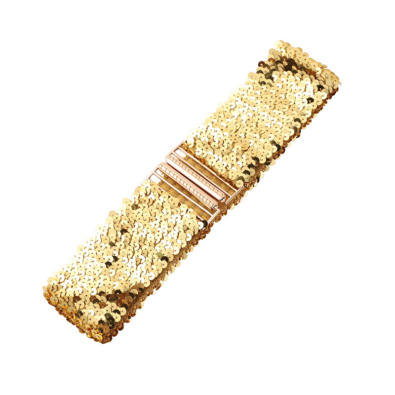 Cinto feminino de lantejoulas, elástico e brilhante, estilo corset, com fivela de metal, alça decorativa para corset, acessório para vestido de festa.: Ouro