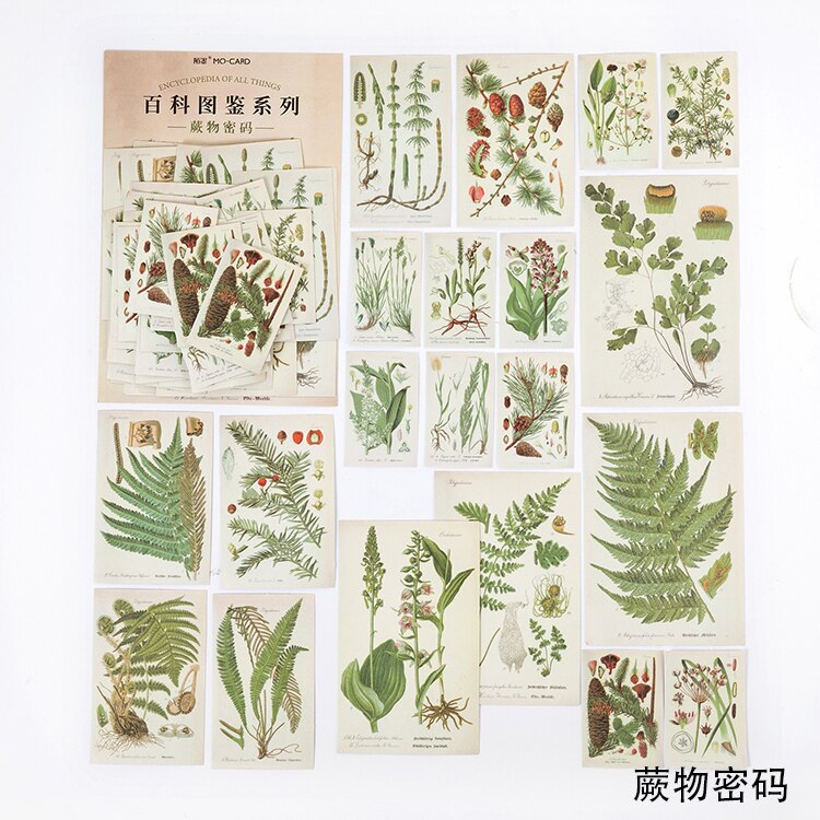 Xinaher 60 st / väska vintage fjäril fern växter fågel papper klistermärke dekoration klistermärken diy dagbok scrapbooking etikett klistermärke