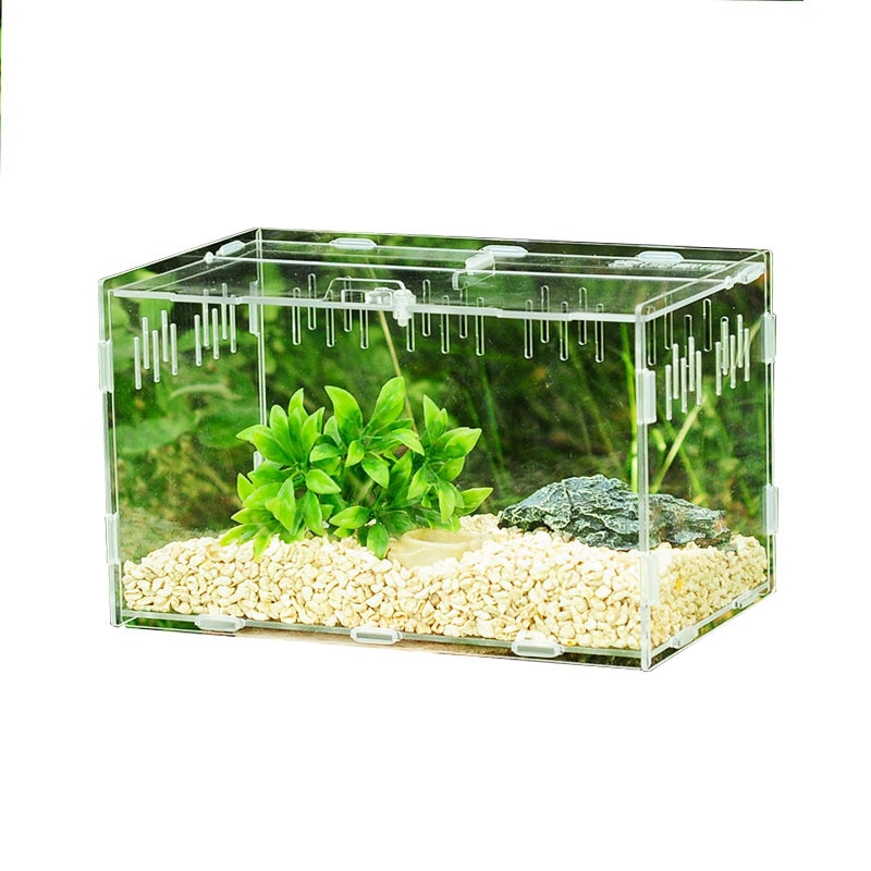 30*20*15cm krybdyr kasse samlet krybdyr terrarium holdbar gennemsigtig akryl koldblodede dyr kasse kæledyrs insektforsyning  c22
