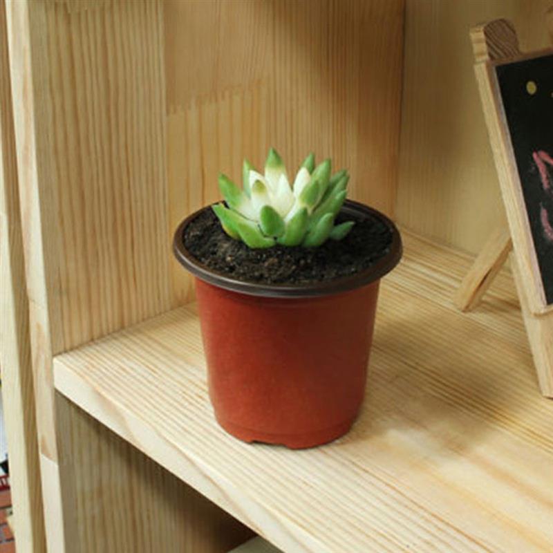 100 stk plastik plantepotter haveplanteplanter pottebeholder urtepotte mini plastik rund voksekasse frøplanter plantepotter